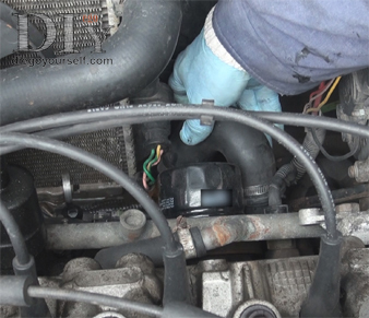 Durit basse du radiateur