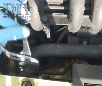 Débranchez la durit haute du radiateur